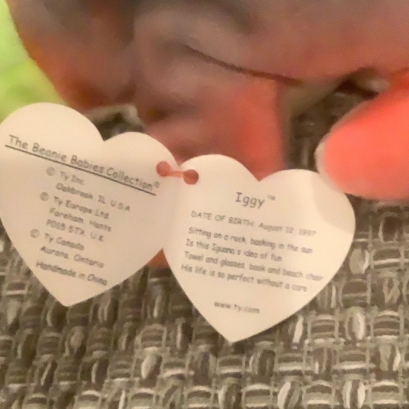 Ty Iggy Beanie Baby - Picture 4 of 8